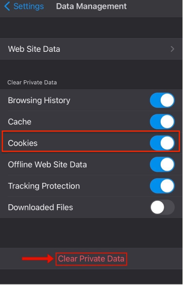 clearing cookies in firefox on an iphone